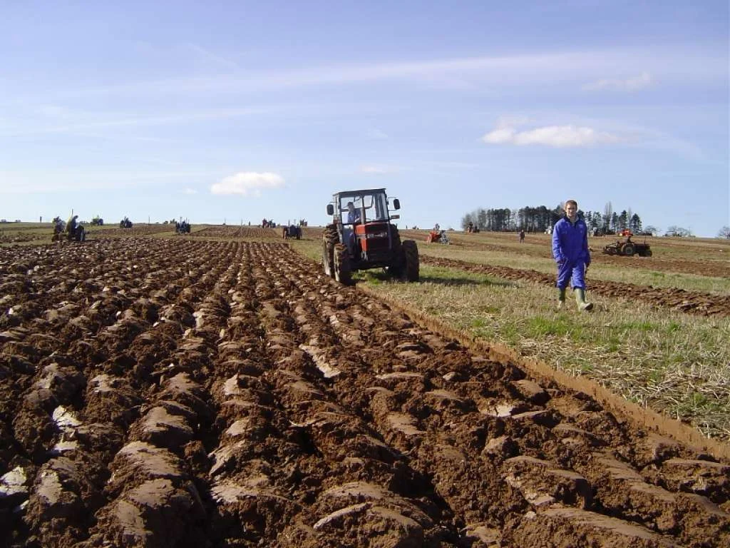 Proljetna sjetva u BiH počinje uskoro: Sadni materijal uglavnom dostupan, izazov klimatske promjene