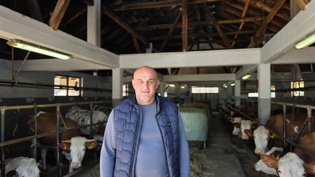 Kupujmo domaće: Porodica Džanić pokrenula proizvodnju sira