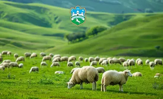 OBAVIJEST – Prijava proizvodnje za uzgoj rasplodne stoke – ovce za 2026. godinu