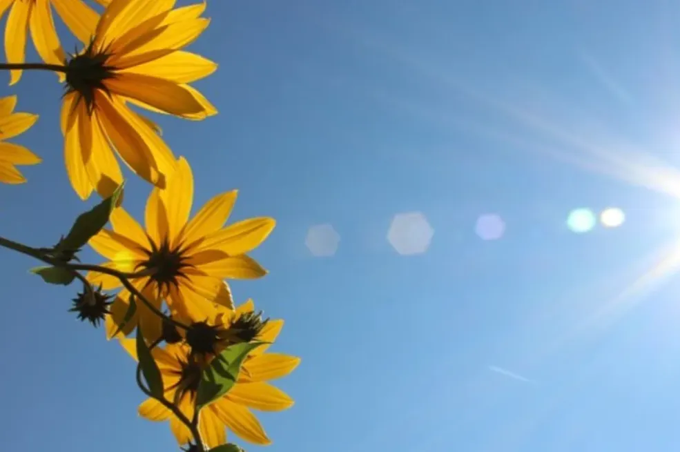 Iskoristite kratkotrajno osvježenje, august donosi povratak visokih temperatura
