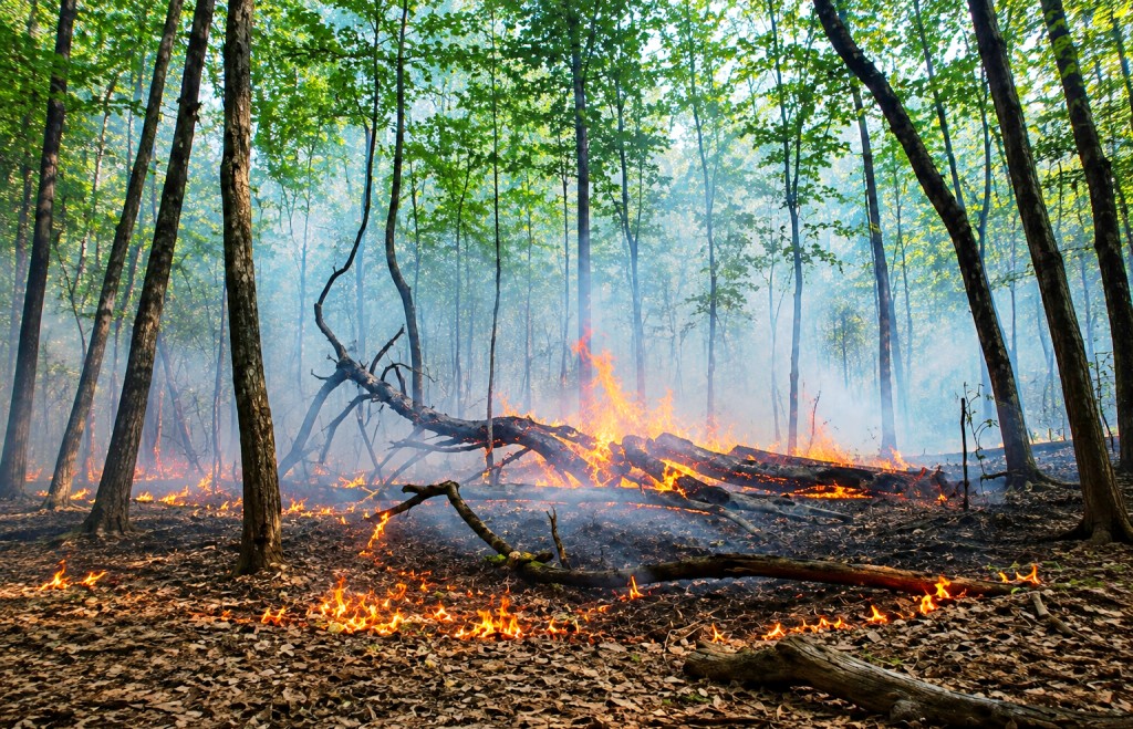 Požar na području Sasine kod Sanskog Mosta i dalje prijeti, nadležne službe na terenu