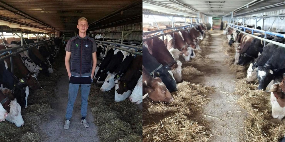 Farma „Isaković A“ iz godine u godinu raste i bilježi dobre rezultate