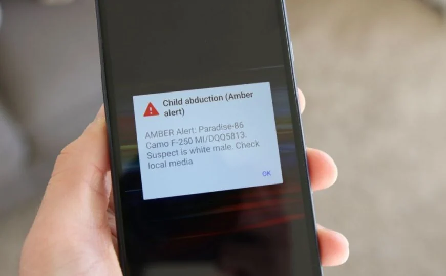 Novi sistem u FBiH “Child Alert BH” trebao bi ubrzati potragu za nestalom djecom